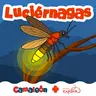 Luciérnagas: El lenguaje de la noche