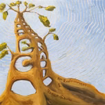 Eco Radio