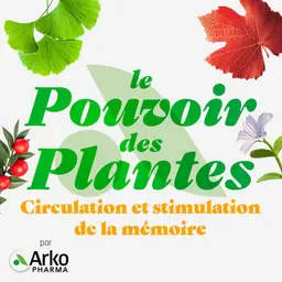 Circulation et stimulation de la mémoire