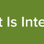 All That Is Interesting