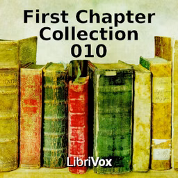 First Chapter Collection 010 by Various