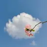 池莉：我们现在是太急躁了