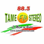 Tame Fm Stereo
