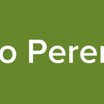 Radio Peremen