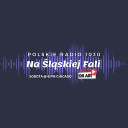 Radio Na Śląskiej Fali Chicago