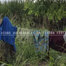 Vidas vulnerables en tierra fértil
