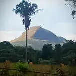 Alto Bhakti