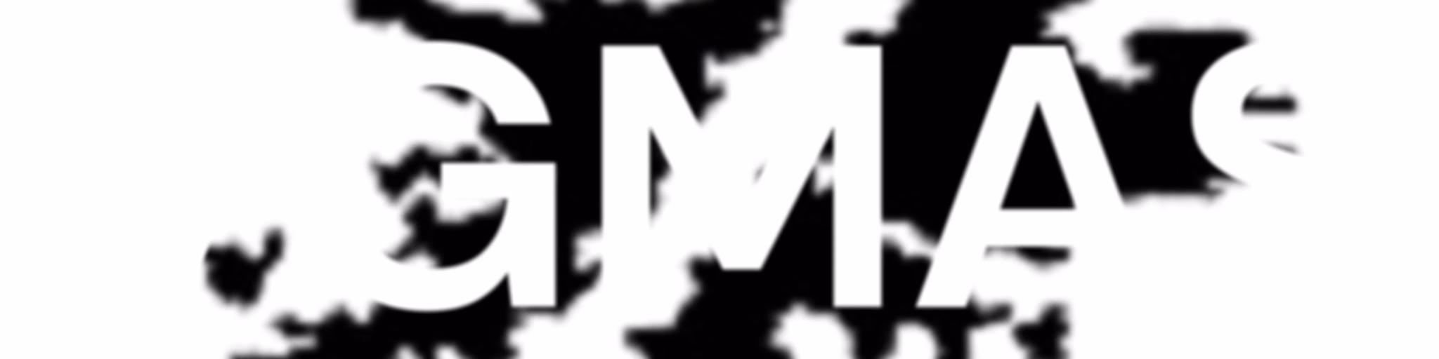 VGMAS