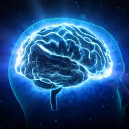 Change Your Mind, Restructure Your Brain