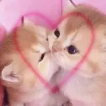 nannnn