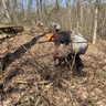 S.7 Ep.2: The Restoration Forester