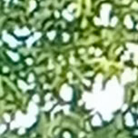 MALAI NERAM PONKUYIL