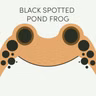 Black Spotted Pond Frog | Week of August 10th