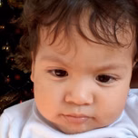 Alfrediño