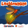 Luciérnagas: El lenguaje de la noche