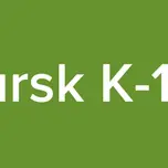 Kursk K-141
