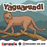 Yaguarundí: Rápido, raro y casi invisible