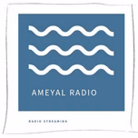 Caracol Radio RV