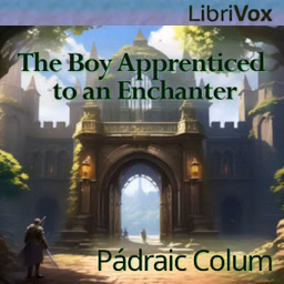 Boy Apprenticed to an Enchanter