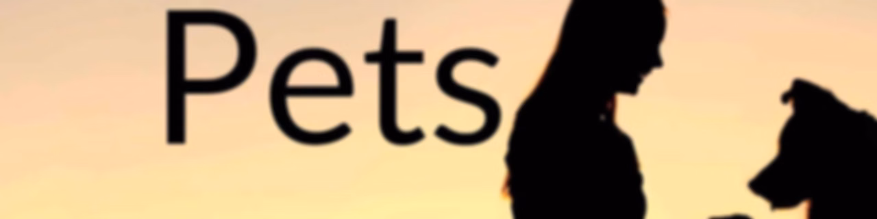 Val Talks Pets