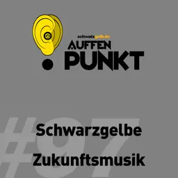 Auffen Punkt #97: Schwarzgelbe Zukunftsmusik