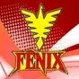 Rádio Fênix 100.5 FM