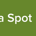 On Da Spot Radio