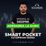Episodul 42 - Despre aderarea la euro