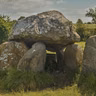 The stoned age? When humans discovered drugs