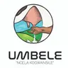 UNksz uXaba ngokuqala ibhizinisi