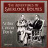 The Adventure of the Copper Beeches