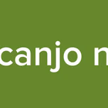 arcanjo net