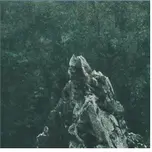 Piedra Angular Live