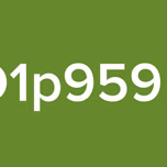 RADIO1p959 viniL0