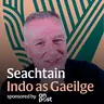 Dáithí Ó Sé: ‘A Blasket Island boatman was the best job I ever had!’