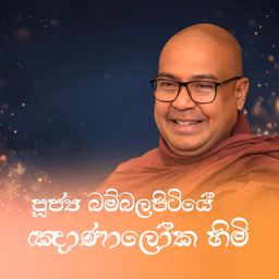 බම්බලපිටියේ ඤාණාලෝක ස්වාමීන් වහන්සේ (Ven. Bambalapitiye Gnanaloka Thero)