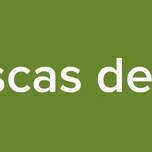 Moscas de bar