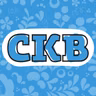 Вызов времени / СКВ'25