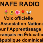 ANAFE RADIO