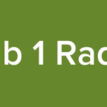 Sub 1 Radio deleted
