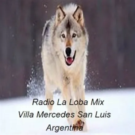 Radio La Loba Mix