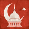 Muslim Brotherhood Swindles A U.S. Senate Seat
