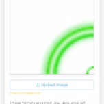 Rayan zs