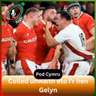 Colled unwaith eto i’r hen Gelyn