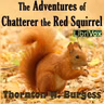23 - Chatterer Grows Very, Very Bold