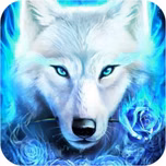 neonfirewolfedmradiostudeo