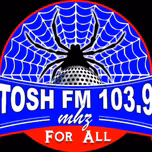 ToshFM1039