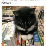 Barbosa