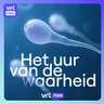 Beter sperma dankzij oesters en testosteron: kan dat?