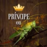 051 - Príncipe Ou Gafanhoto - Pr Márcio Valadão